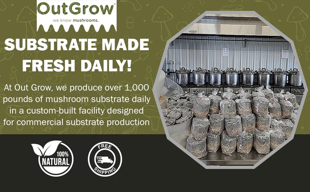 Mushroom Grow Kit (Quick Kit)