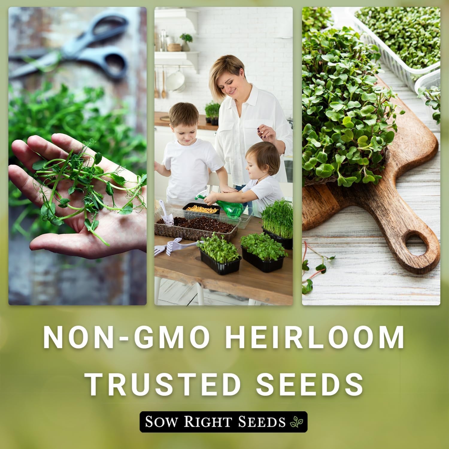 - Microgreens Seed Sample Pack - 10 Packets of Healthy Superfoods to Sprout and Grow Indoors on Your Kitchen Counter - Broccoli, Cress, Sunflower, Arugula, Kale, Radish, Pea, and More