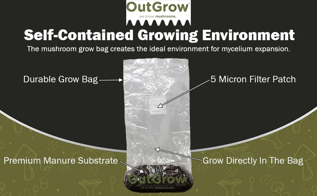 Mushroom Grow Kit (Quick Kit)