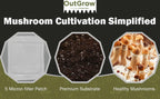 Mushroom Grow Kit (Quick Kit)