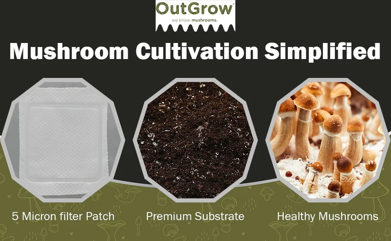 Mushroom Grow Kit (Quick Kit)