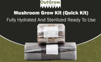 Mushroom Grow Kit (Quick Kit)