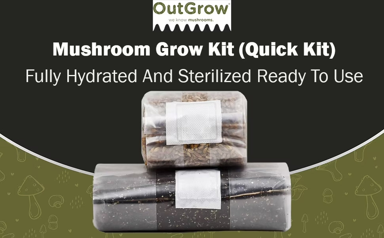 Mushroom Grow Kit (Quick Kit)