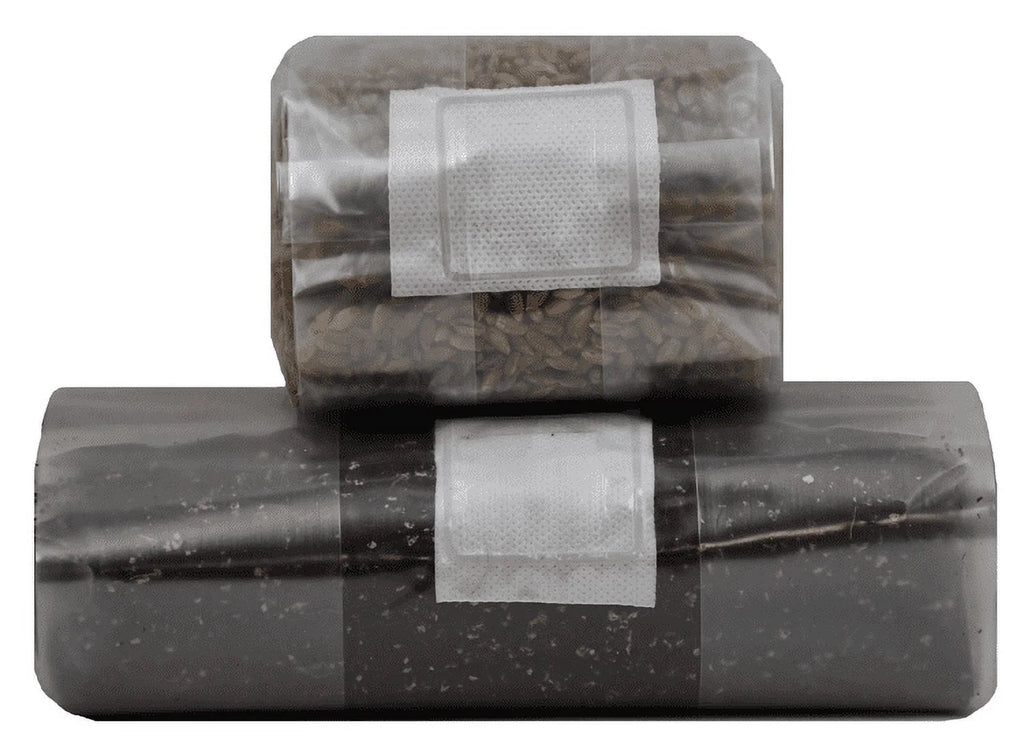 Mushroom Grow Kit (Quick Kit)