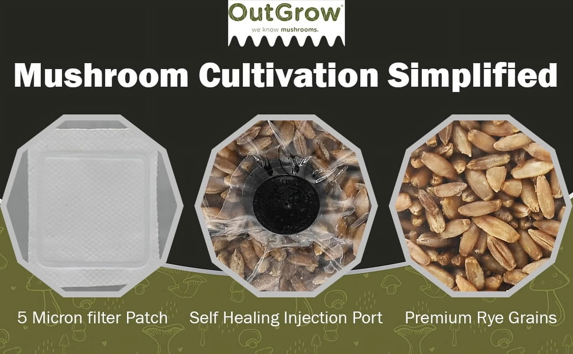Mushroom Grow Kit (Quick Kit)