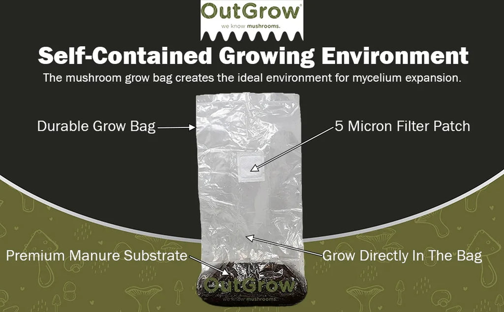 Mushroom Grow Kit (Quick Kit)
