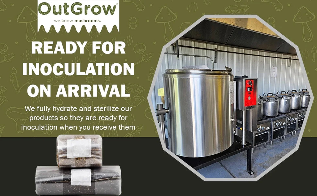 Mushroom Grow Kit (Quick Kit)