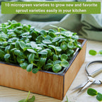 - Microgreens Seed Sample Pack - 10 Packets of Healthy Superfoods to Sprout and Grow Indoors on Your Kitchen Counter - Broccoli, Cress, Sunflower, Arugula, Kale, Radish, Pea, and More